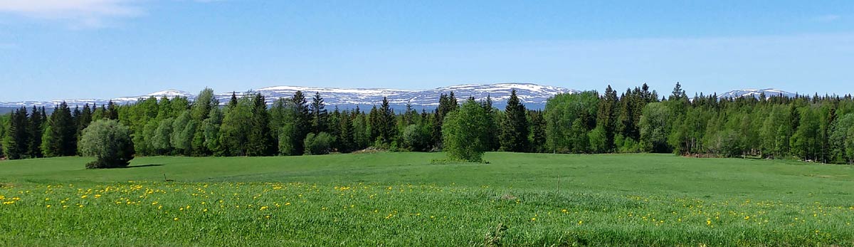 Västeråsen